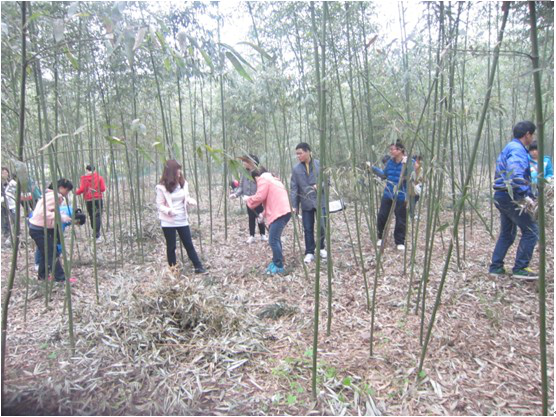 2017061210314883.png 图片2.png