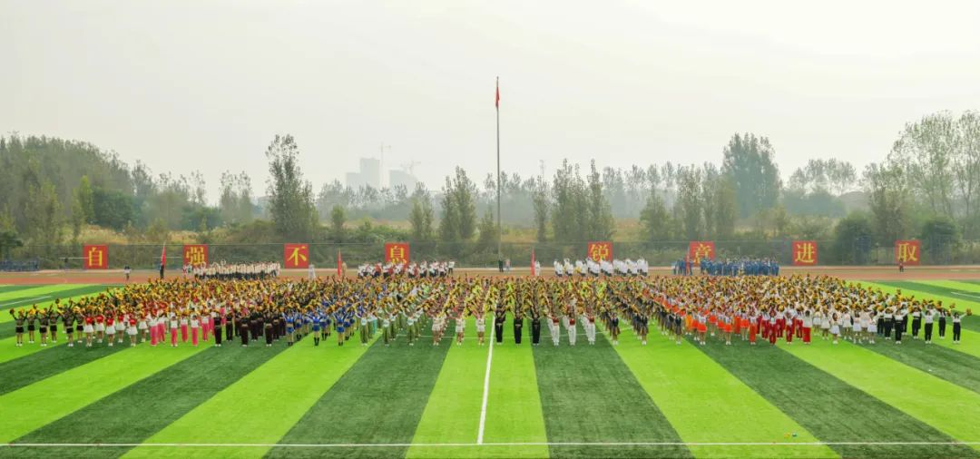 图片15.png 图片